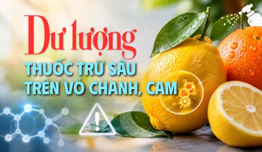 Nguy cơ từ dư lượng thuốc trừ sâu trên vỏ chanh, cam