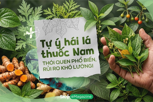 Tự ý hái lá thuốc Nam: Thói quen phổ biến, rủi ro khó lường!