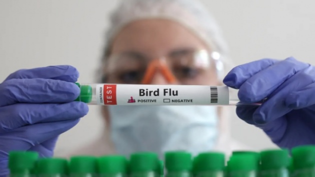 WHO xác nhận ca tử vong đầu tiên do cúm gia cầm A/H5N2