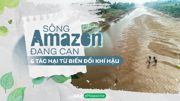 Sông Amazon đang cạn & tác hại từ biến đổi khí hậu