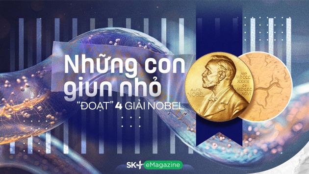 Những con giun nhỏ 'đoạt' 4 giải Nobel