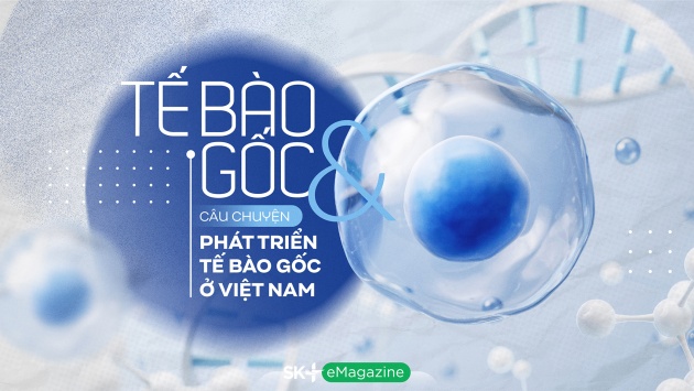 Câu chuyện phát triển tế bào gốc tại Việt Nam