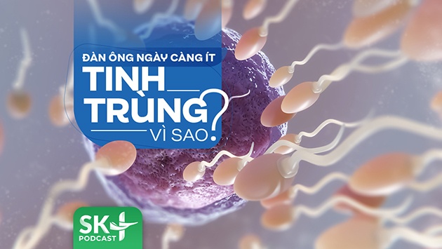 Podcast: Đàn ông ngày càng ít tinh trùng, vì sao?