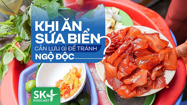 Podcast: Khi ăn sứa biển cần lưu gì để tránh ngộ độc?