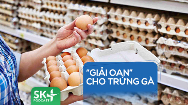 Podcast: “Giải oan” cho trứng gà