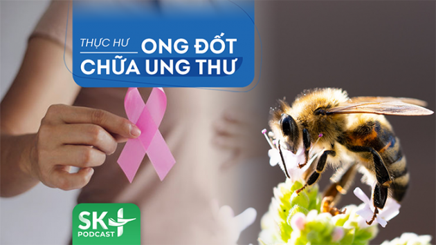 Podcast: Dùng ong đốt chữa ung thư, 'lợn lành thành lợn què'