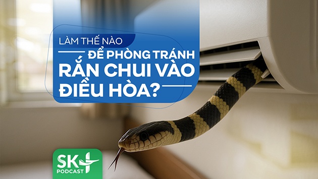 Podcast: Làm thế nào để phòng tránh rắn chui vào điều hòa?