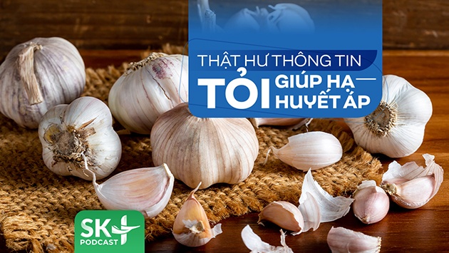 Podcast: Thật hư thông tin tỏi giúp hạ huyết áp