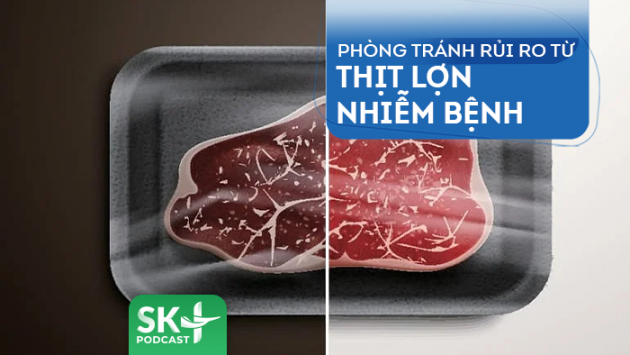 Podcast: Phòng tránh rủi ro từ thịt lợn nhiễm bệnh