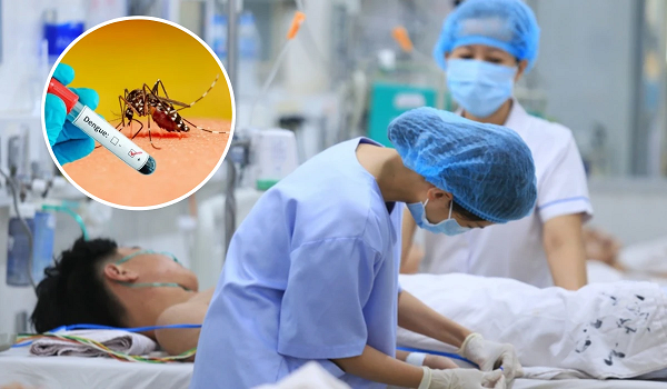Số ca mắc sốt xuất huyết tăng cao, Thủ tướng yêu cầu xử lý triệt để ổ dịch