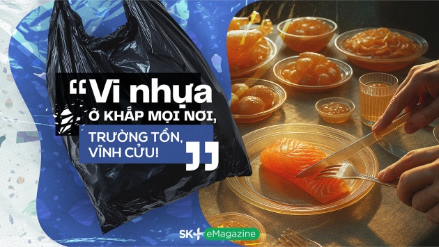 “Vi nhựa ở khắp mọi nơi, trường tồn, vĩnh cửu!”