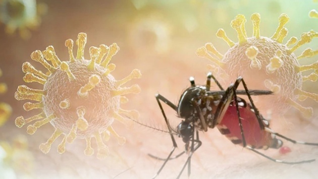 Virus chikungunya đang hoành hành tại Trung Quốc nguy hiểm thế nào?