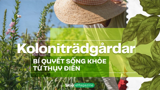 Koloniträdgårdar - Bí quyết sống khỏe từ Thụy Điển