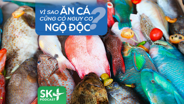 Podcast: Vì sao ăn cá cũng có nguy cơ ngộ độc?