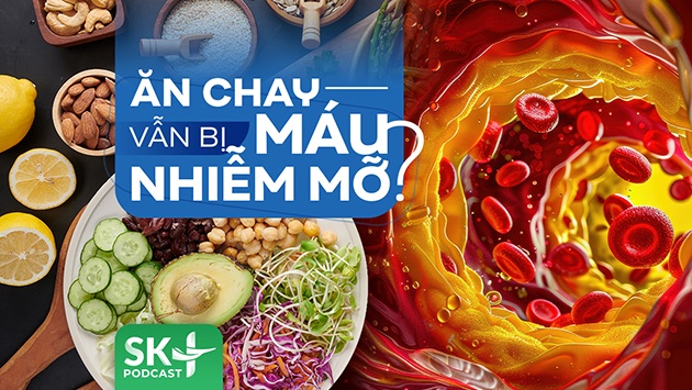 Podcast: Ăn chay vẫn bị máu nhiễm mỡ?