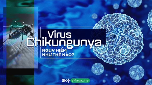 Virus chikungunya nguy hiểm như thế nào?