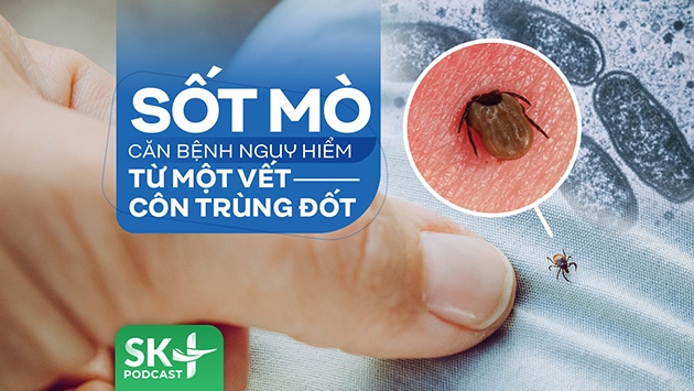 Podcast: Sốt mò - Căn bệnh nguy hiểm từ một vết côn trùng đốt