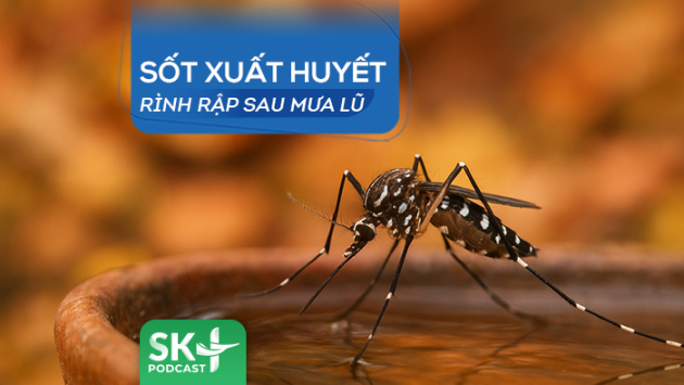 Podcast: Sốt xuất huyết rình rập sau mưa lũ
