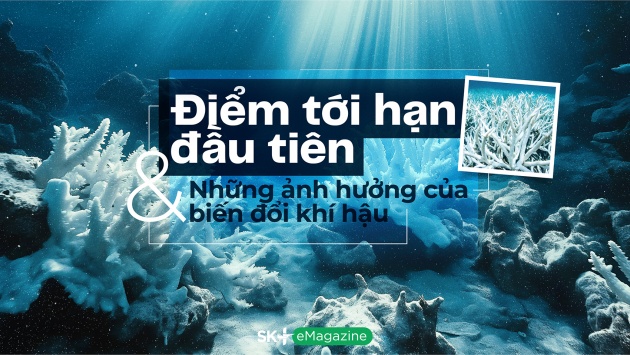 Điểm tới hạn đầu tiên và những ảnh hưởng của biến đổi khí hậu