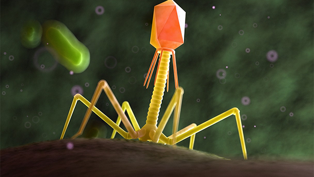 Công nghệ mới giúp tiêu diệt 99,9% vi khuẩn trong thực phẩm