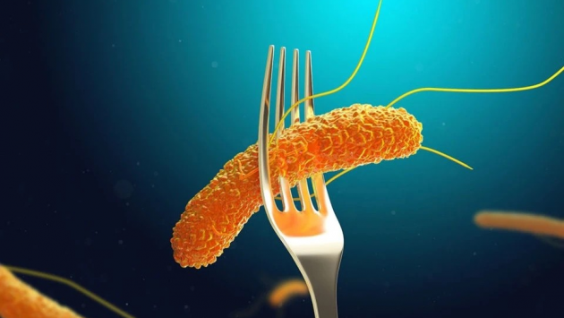 TP.HCM: Đã tìm ra 'thủ phạm' khiến hơn 80 người ngộ độc sau ăn bánh mì 