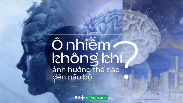 Ô nhiễm không khí ảnh hưởng thế nào đến não bộ?
