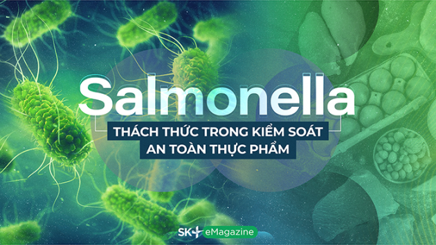 Salmonella - Thách thức trong kiểm soát an toàn thực phẩm 