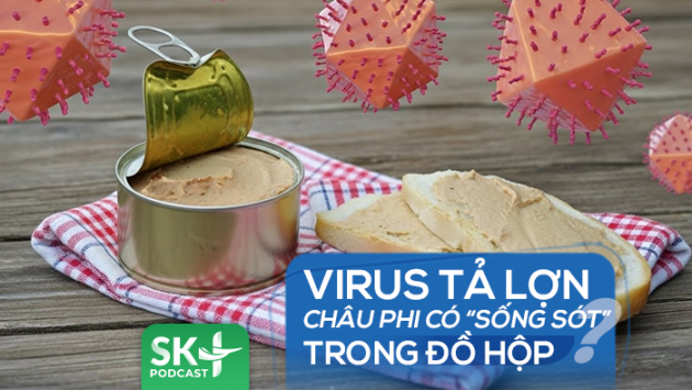 Podcast: Virus tả lợn châu Phi có “sống sót” trong đồ hộp?