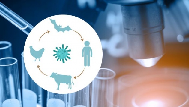 Những ổ chứa mầm bệnh vẫn đang âm thầm đe dọa con người