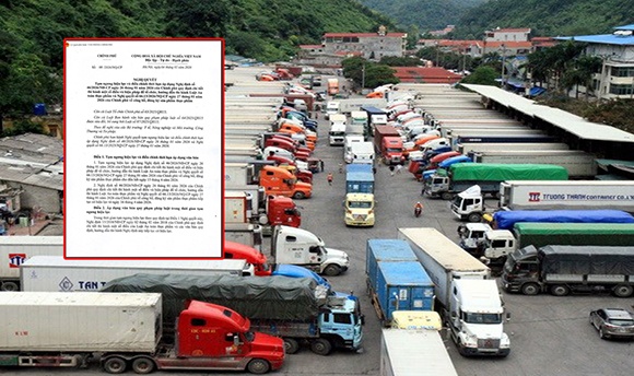 Chính phủ quyết định tạm ngưng hiệu lực và điều chỉnh thời hiệu Nghị định 46