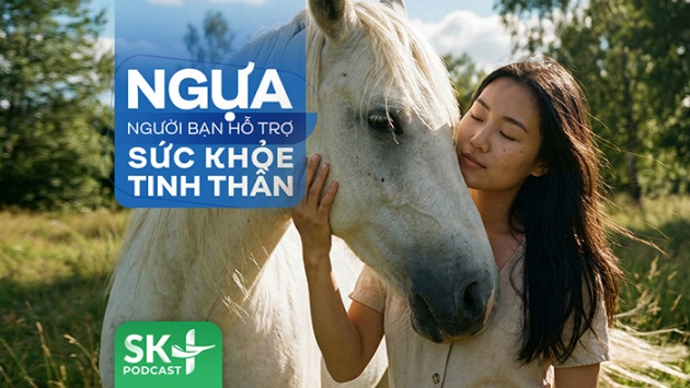 Podcast: Ngựa – người bạn hỗ trợ sức khỏe tinh thần