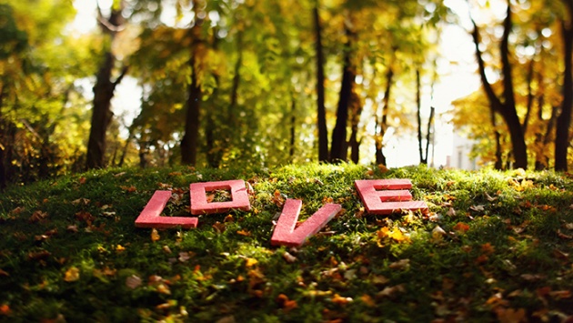 Tử vi thứ Bảy (14/2/2026): Song Ngư sẽ gặp được nhiều thuận lợi 