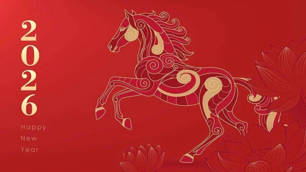 Núi như muôn ngựa chen!