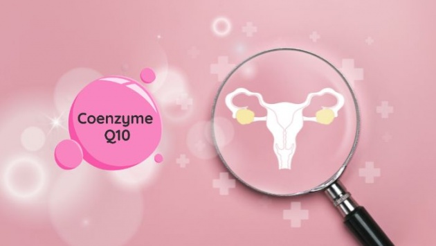 Lý do các cặp đôi hiếm muộn nên bổ sung Coenzyme Q10 