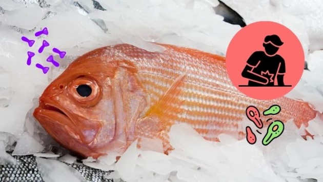 Độc tố ẩn mình trong các loài cá biển