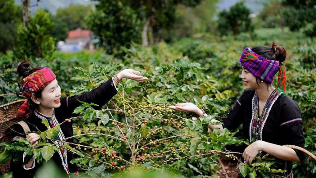 Du lịch Quảng Trị ngoài những điểm đến quen thuộc! (P2)