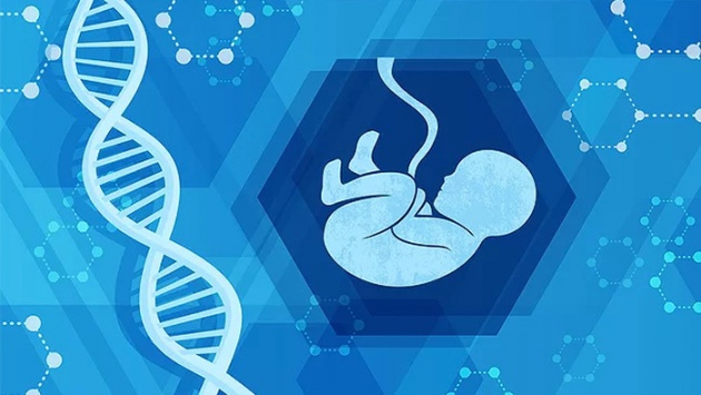 Khi y học bào thai viết tiếp sự sống