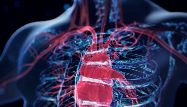 Công cụ AI mới giúp dự báo nguy cơ suy tim trước 5 năm