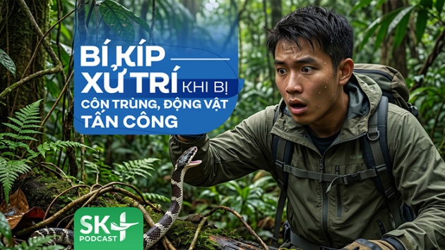 Podcast: Bí kíp xử trí khi bị côn trùng, động vật tấn công