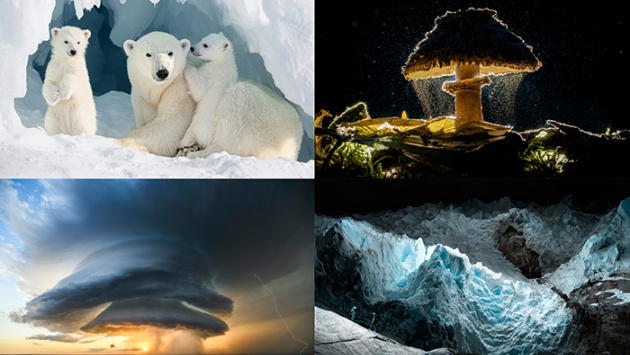 Những bức ảnh ấn tượng nhất Giải thưởng Nhiếp ảnh Sony năm 2026