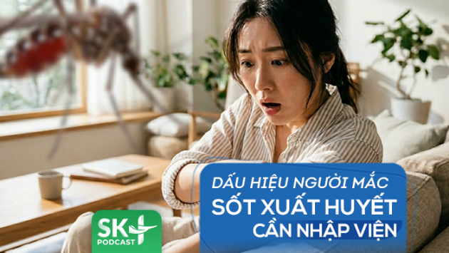 Podcast: Dấu hiệu người mắc sốt xuất huyết cần nhập viện