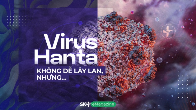 Virus Hanta không dễ lây lan, nhưng…