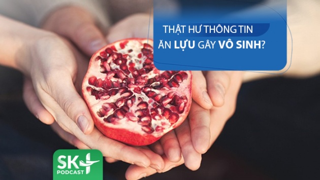 Podcast: Thật hư thông tin ăn lựu gây vô sinh?