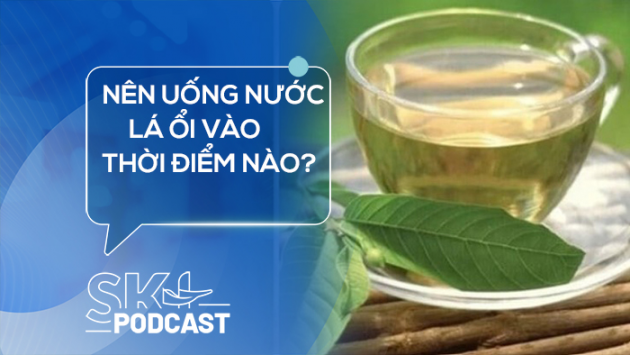Podcast: Nên uống nước lá ổi vào thời điểm nào?