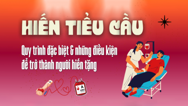 Hiến tiểu cầu: Quy trình đặc biệt và điều kiện để trở thành người hiến tặng