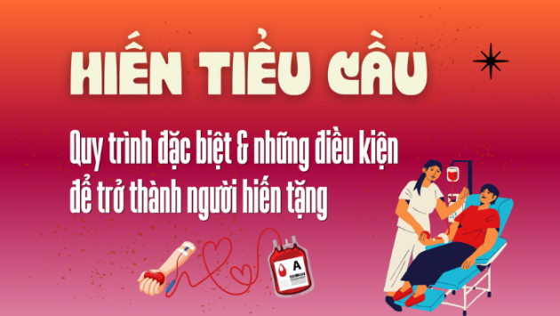 Hiến tiểu cầu: Quy trình đặc biệt và điều kiện để trở thành người hiến tặng