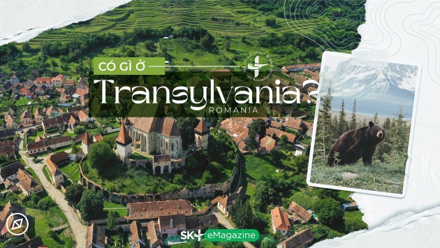 Có gì ở Transylvania?