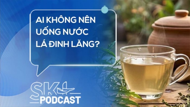 Podcast: Ai không nên uống nước lá đinh lăng?