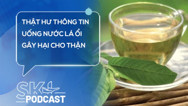 Podcast: Thật hư thông tin uống nước lá ổi gây hại cho thận