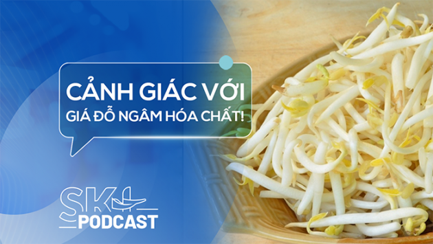 Podcast: Giá đỗ ngâm hóa chất nguy hiểm thế nào?